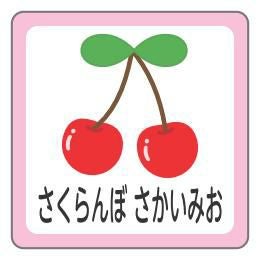 お名前シール さくらんぼAデザイン │《公式》お名前シール工場